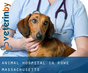 Animal Hospital in Rowe (Massachusetts)