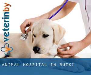 Animal Hospital in Rutki
