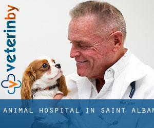 Animal Hospital in Saint-Alban