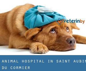 Animal Hospital in Saint-Aubin-du-Cormier