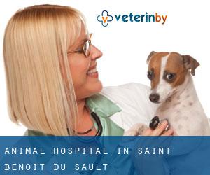 Animal Hospital in Saint-Benoît-du-Sault