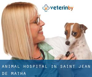 Animal Hospital in Saint-Jean-de-Matha