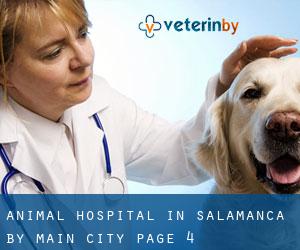 Animal Hospital in Salamanca by main city - page 4