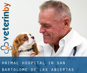 Animal Hospital in San Bartolomé de las Abiertas