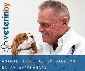 Animal Hospital in Sangiyn Dalay (Övörhangay)