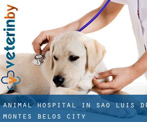 Animal Hospital in São Luís de Montes Belos (City)