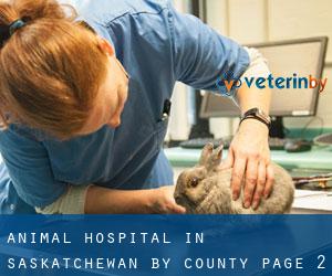 Animal Hospital in Saskatchewan by County - page 2