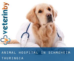Animal Hospital in Schmeheim (Thuringia)