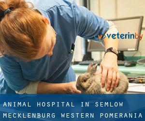 Animal Hospital in Semlow (Mecklenburg-Western Pomerania)