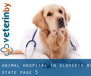 Animal Hospital in Slovenia by State - page 5