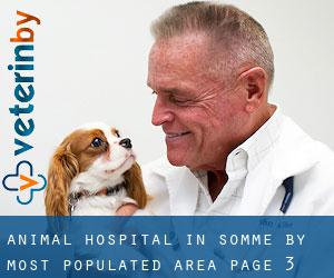 Animal Hospital in Somme by most populated area - page 3