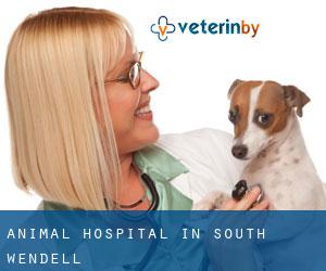 Animal Hospital in South Wendell