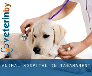 Animal Hospital in Tagamanent