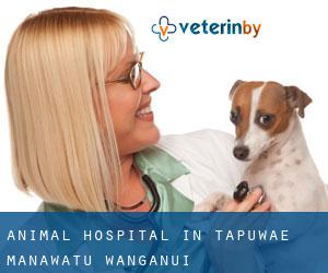 Animal Hospital in Tapuwae (Manawatu-Wanganui)