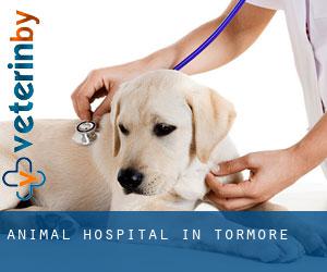 Animal Hospital in Tormore