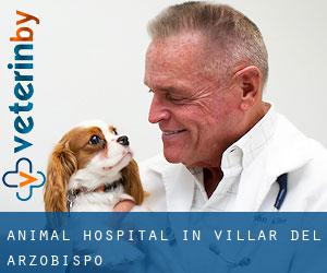 Animal Hospital in Villar del Arzobispo
