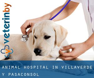 Animal Hospital in Villaverde y Pasaconsol
