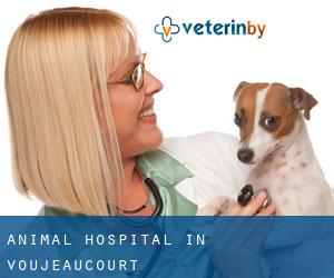 Animal Hospital in Voujeaucourt