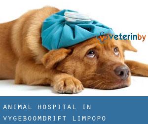 Animal Hospital in Vygeboomdrift (Limpopo)