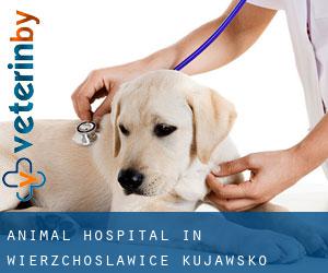 Animal Hospital in Wierzchosławice (Kujawsko-Pomorskie)