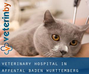 Veterinary Hospital in Affental (Baden-Württemberg)
