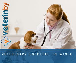 Veterinary Hospital in Aigle