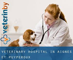 Veterinary Hospital in Aignes-et-Puypéroux