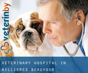 Veterinary Hospital in Aillières-Beauvoir