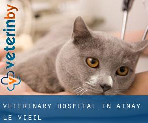 Veterinary Hospital in Ainay-le-Vieil