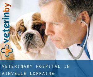 Veterinary Hospital in Ainvelle (Lorraine)