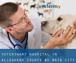 Veterinary Hospital in Allegheny County by main city - page 1
