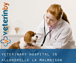 Veterinary Hospital in Allondrelle-la-Malmaison
