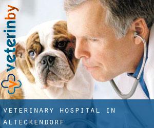 Veterinary Hospital in Alteckendorf