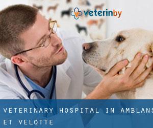 Veterinary Hospital in Amblans-et-Velotte