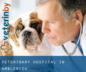 Veterinary Hospital in Amblérieu