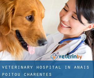 Veterinary Hospital in Anais (Poitou-Charentes)