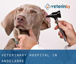 Veterinary Hospital in Andelarre