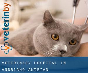 Veterinary Hospital in Andriano - Andrian
