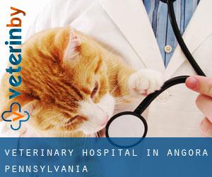 Veterinary Hospital in Angora (Pennsylvania)