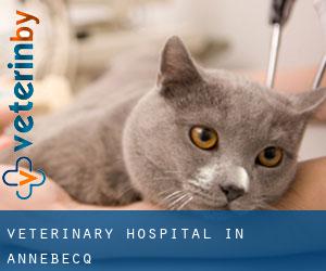 Veterinary Hospital in Annebecq