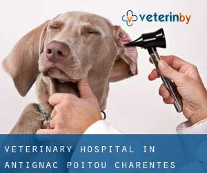 Veterinary Hospital in Antignac (Poitou-Charentes)