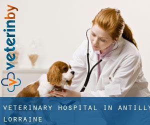 Veterinary Hospital in Antilly (Lorraine)