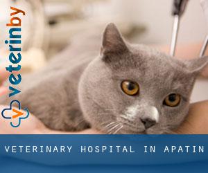 Veterinary Hospital in Apatin