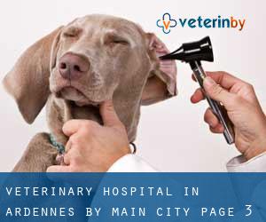 Veterinary Hospital in Ardennes by main city - page 3