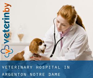 Veterinary Hospital in Argenton-Notre-Dame