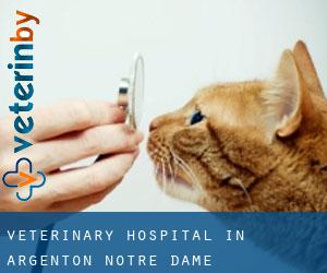 Veterinary Hospital in Argenton-Notre-Dame