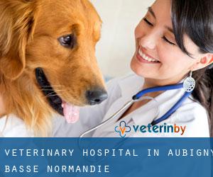 Veterinary Hospital in Aubigny (Basse-Normandie)