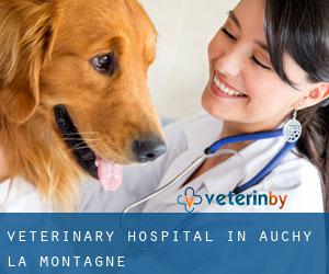 Veterinary Hospital in Auchy-la-Montagne