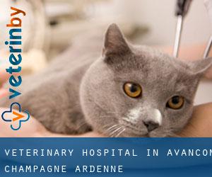 Veterinary Hospital in Avançon (Champagne-Ardenne)