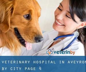 Veterinary Hospital in Aveyron by city - page 4